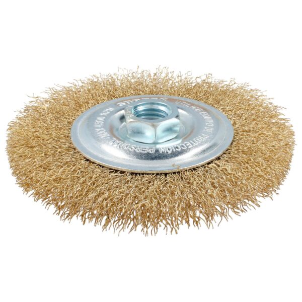 C589 Carda circular ondulada alambre delgado 6" x 0.35 mm con rosca 5/8" Surtek Surtek