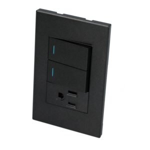 Placa 2 Interruptor 1 contacto 1/3, linea Premium, color negro Surtek