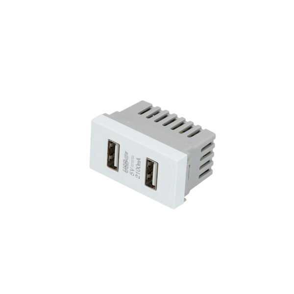 Modulo USB doble 1/3, linea Premium, color blanco Surtek