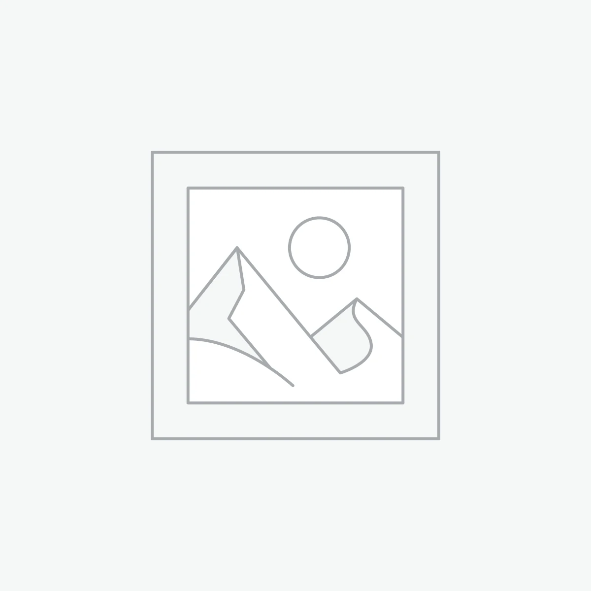 Juego de carbones para SC407D Surtek